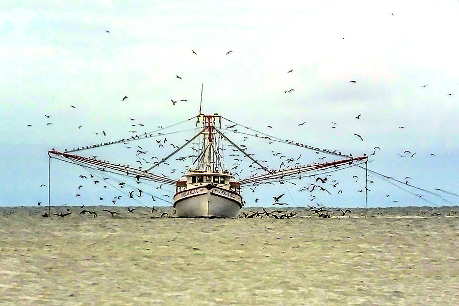 Shrimp Boat At Work Photograph By Terry Shoemaker Fine Art America