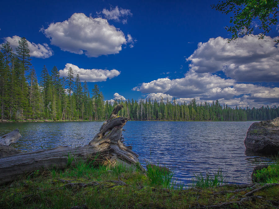 Silver Lake Photograph By Michele James