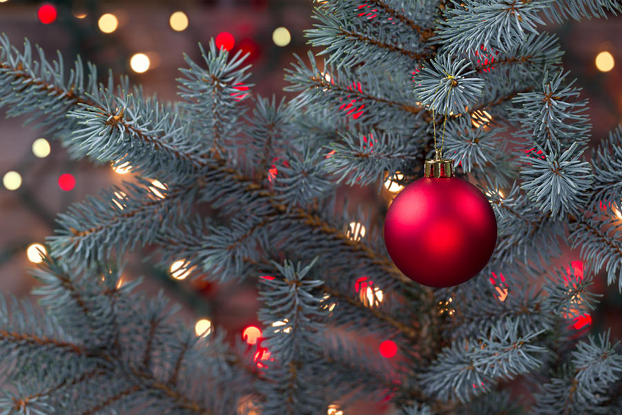 single red ornament hanging from pine tree with glowing single red ornament hanging from pine tree with glowing