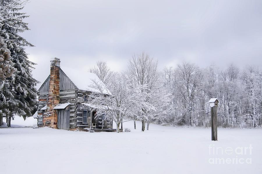 snowy-cabin-benanne-stiens.jpg