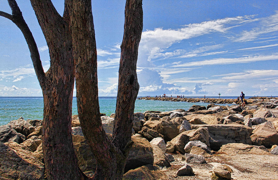 South Venice Jetty Photograph by HH Photography of Florida