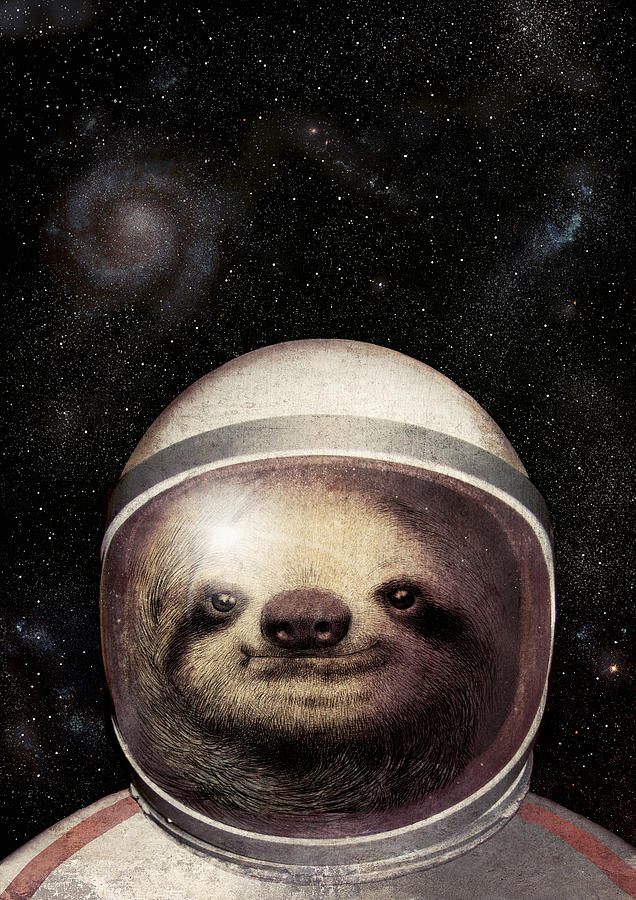 Space Sloth Drawing By Eric Fan