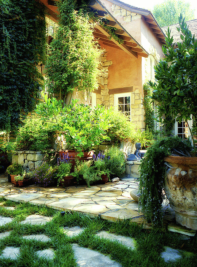 Spanish Garden Photograph By Dennis Adams