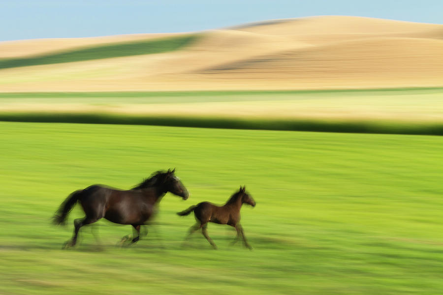 Spring Energy Photograph By Brenda Tharp Fine Art America