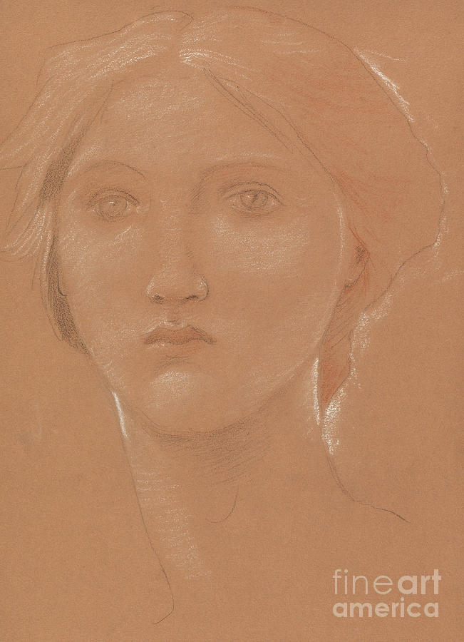 Study Of The Head Of Margaret Burne Jones Drawing By Edward Coley Burne