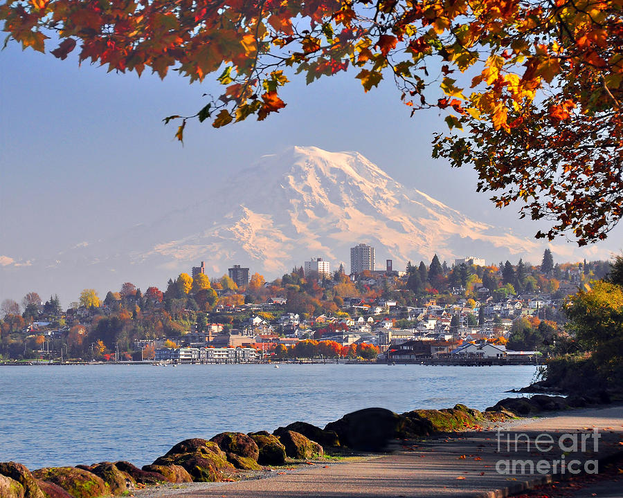 Tacoma N Mt Rainier Photograph By Jack Moskovita