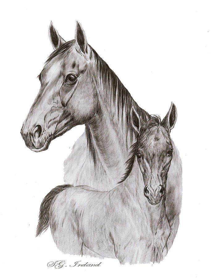 Foals - Sketches For Total Life Forever Foals - Sketches For Total Life Forever