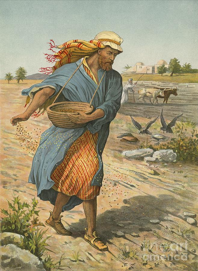 https://images.fineartamerica.com/images/artworkimages/mediumlarge/1/the-sower-sowing-the-seed-english-school.jpg