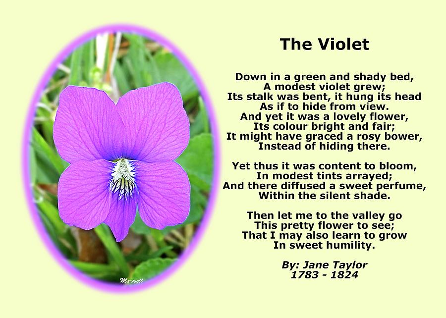 Classical Beautiful Poem 113