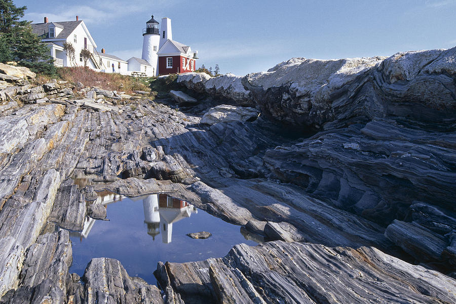 Tide Pool Reflection Pemaquid Point Lighthouse Maine Photograph by