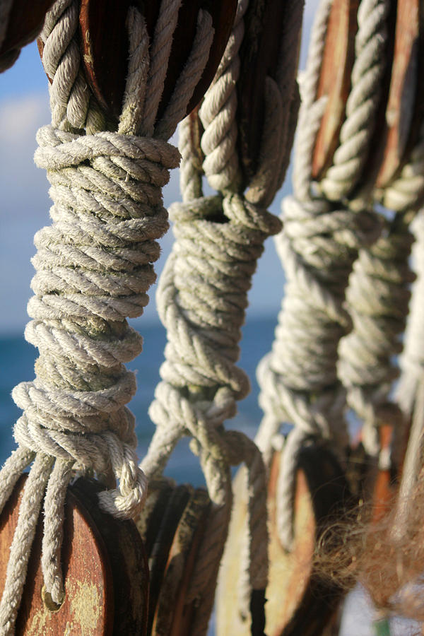 Tied Down Photograph By Pauline Darrow Fine Art America