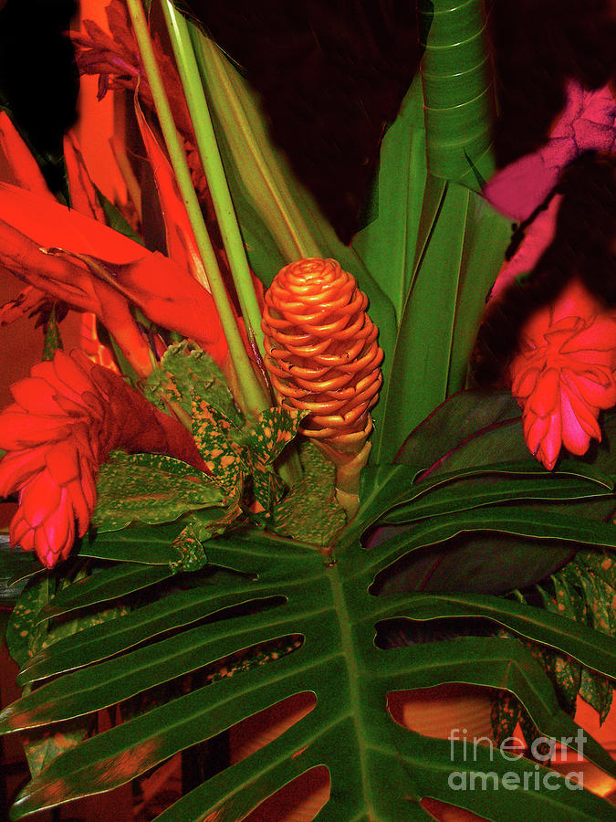 Tropical Floral Display Photograph By Merton Allen Pixels