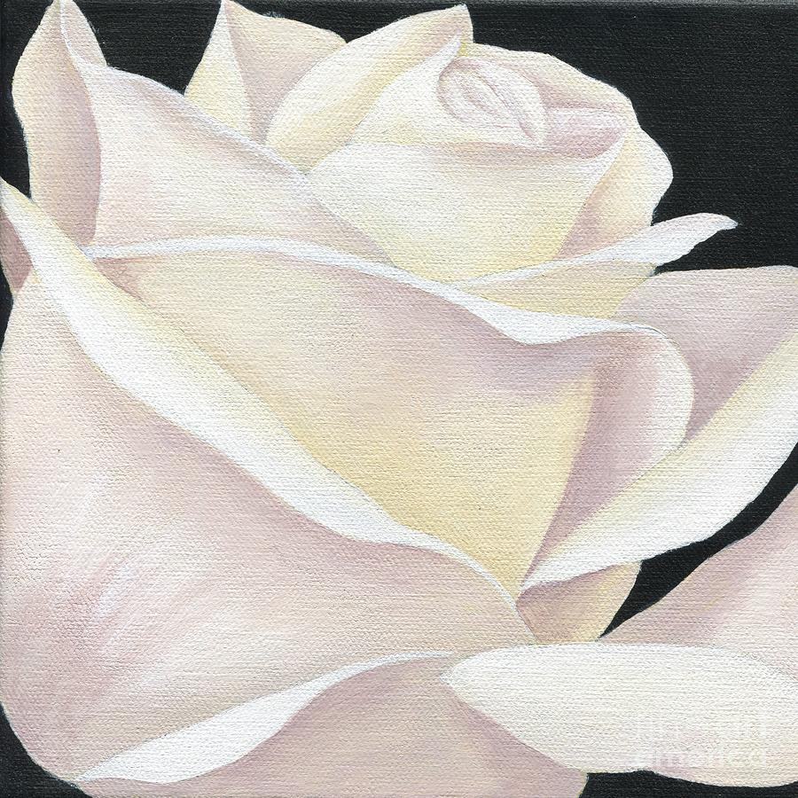 White Rose Painting By Diana Ranstrom Fine Art America