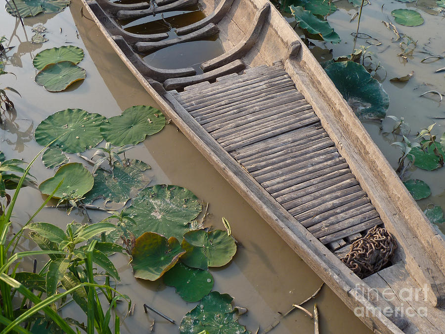 Wooden Handmade Canoe Boat In Asian Lily Pond Photograph