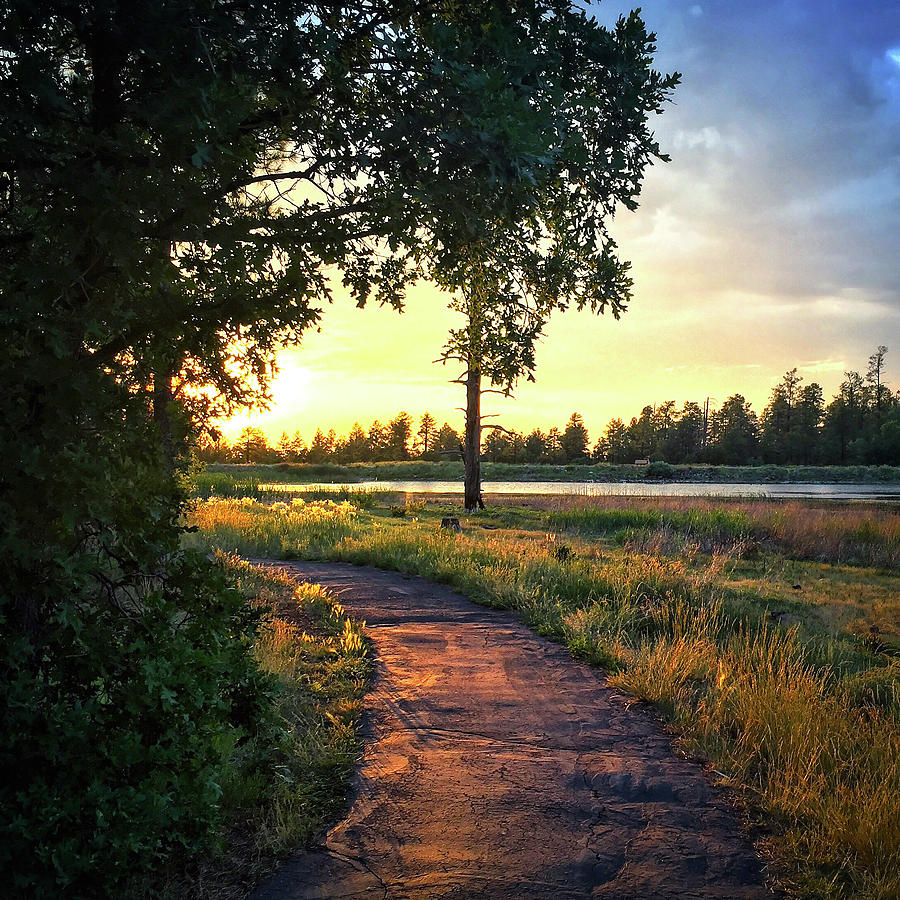 Woodland Lake Sunset Photograph by Jason Dyrud