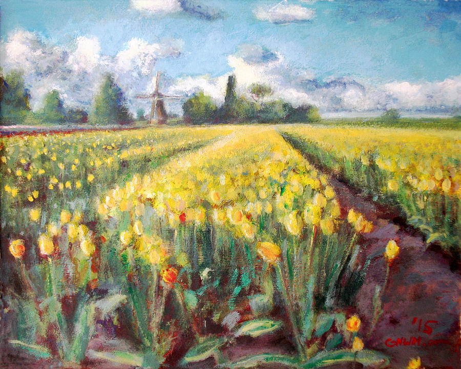 Yellow Spring Tulips Flower Fields Landscape And Windmill
