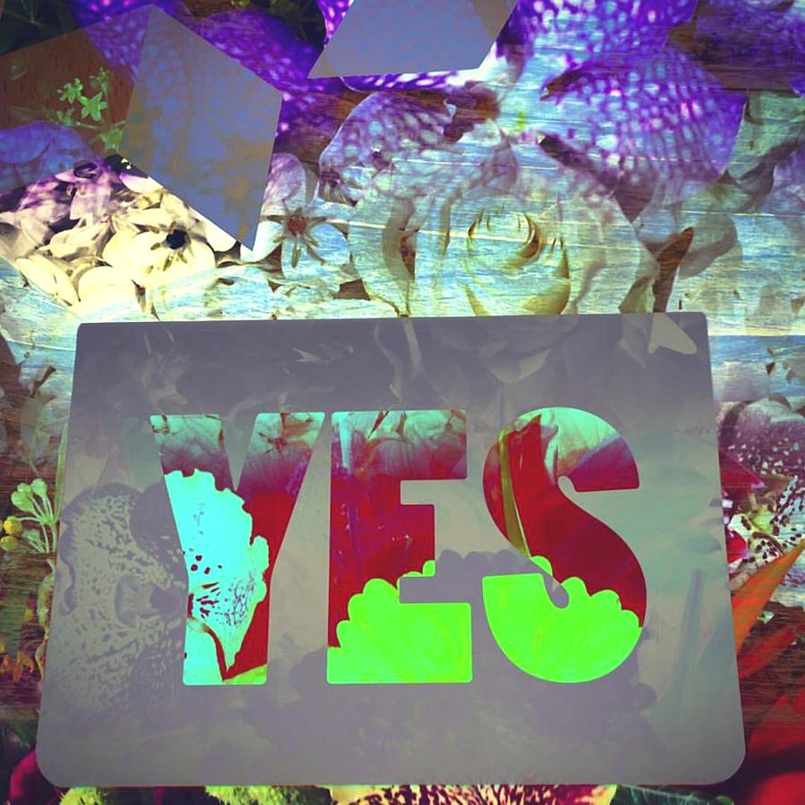 Yes Digital Art By Steve Swindells Fine Art America