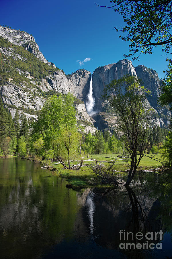 Yosemite Falls And Reflection Photograph By David Arment Fine Art America