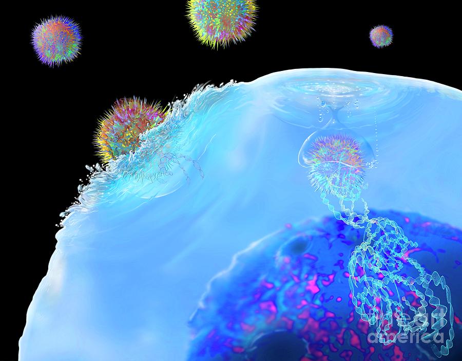 Car T Cell Immunotherapy 1 By Keith Chambers Science Photo Library