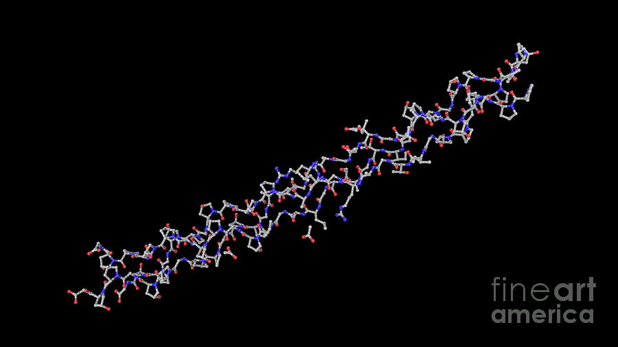 Collagen Protein Molecule 1 Photograph By Kateryna Kon Science Photo