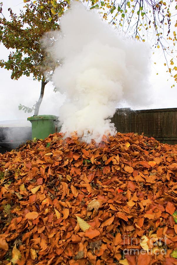 Domestic Bonfire 1 By Mark Williamson Science Photo Library