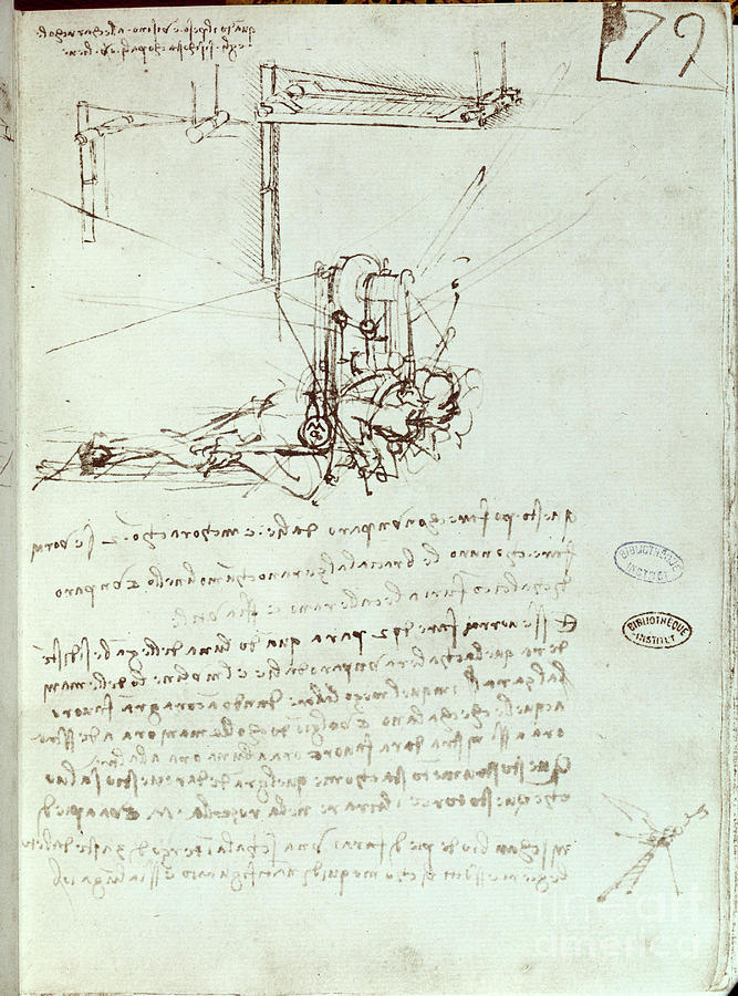 Flying Machine Drawing Manuscript By Leonard De Vinci Drawing By