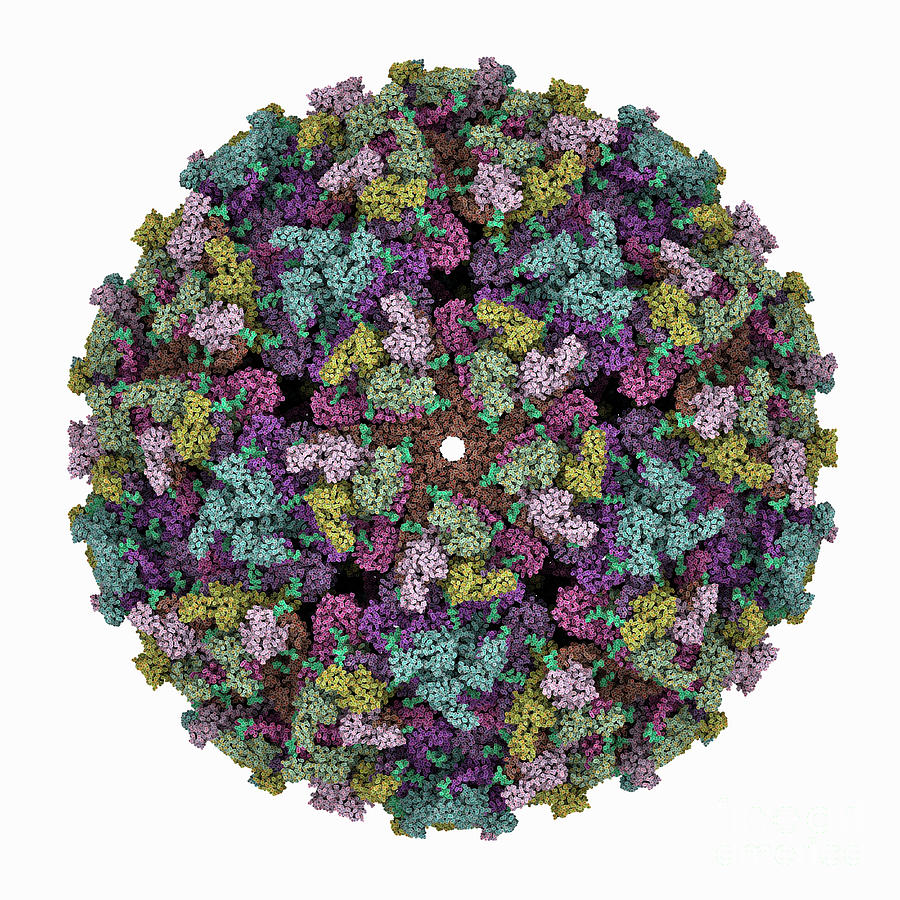 Getah Virus Capsid Photograph By Laguna Design Science Photo Library