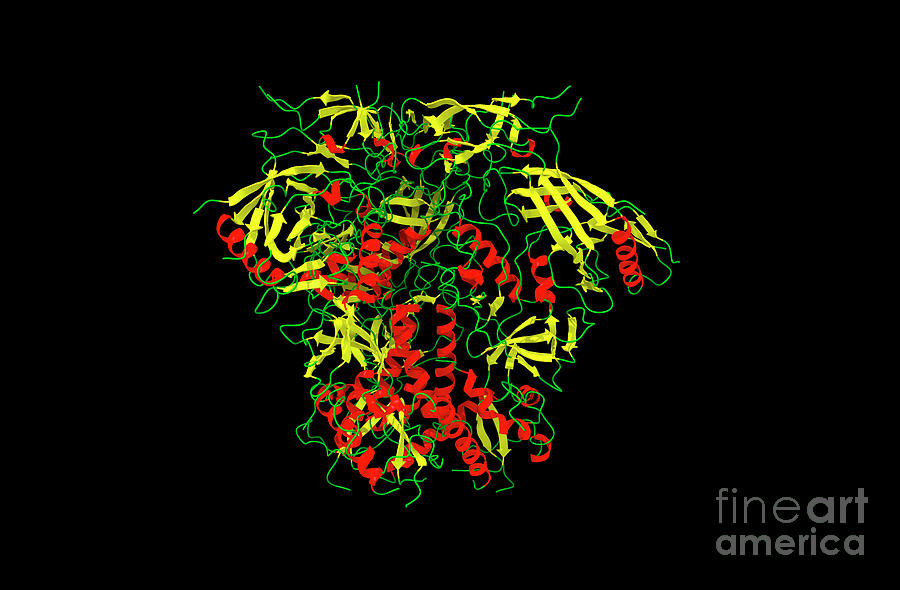 Hiv Spike Protein Photograph By Dr Victor Padilla Sanchez Phd