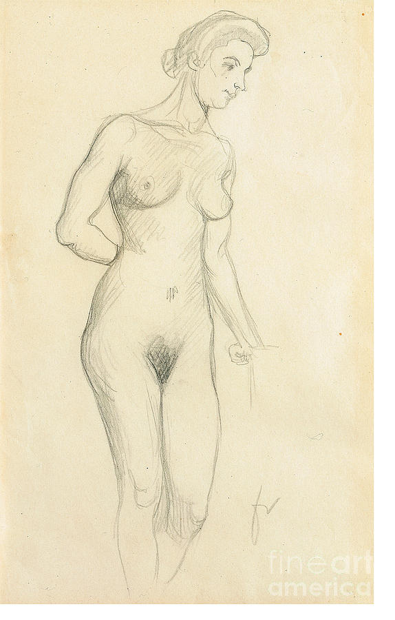 Nude Drawing By Felix Edouard Vallotton Pixels