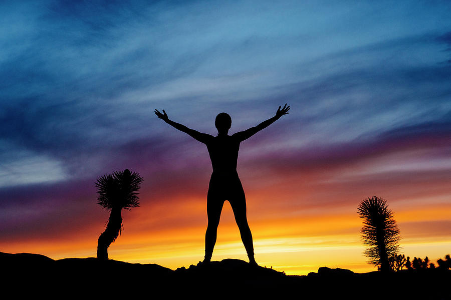 Nude Silhouette Joshua Tree Photograph By Panoramic Images Pixels