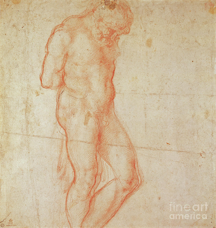 Study Of A Nude Drawing By Michelangelo Buonarroti Fine Art America