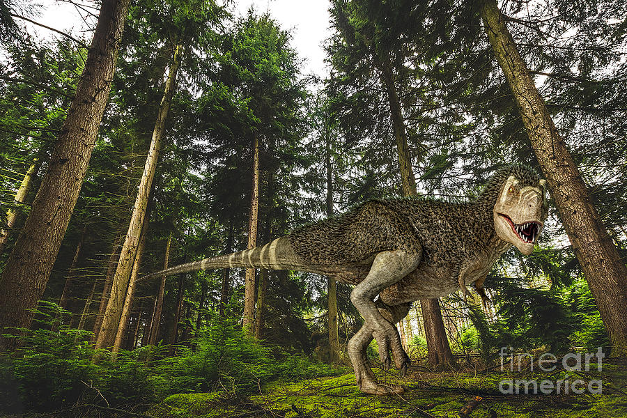 T Rex With Feathers Photograph By Leonello Calvetti Science Photo