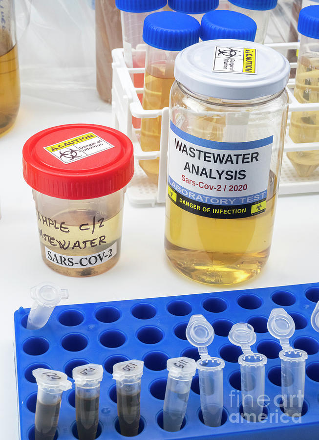 Analysis Of Wastewater For Covid 19 Photograph By Digicomphoto Science