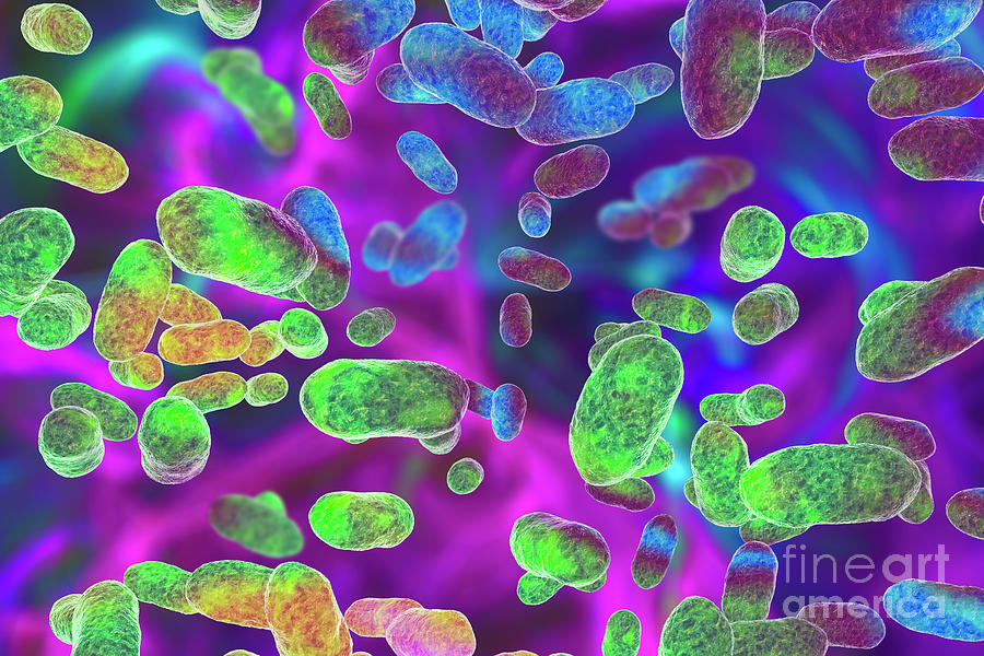 Porphyromonas Gingivalis Oral Bacterium Photograph By Kateryna Kon