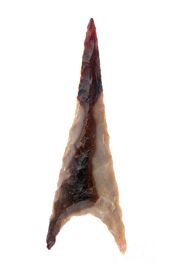 Neolithic Winged Arrow Head In Carved Stone Photograph By Pascal