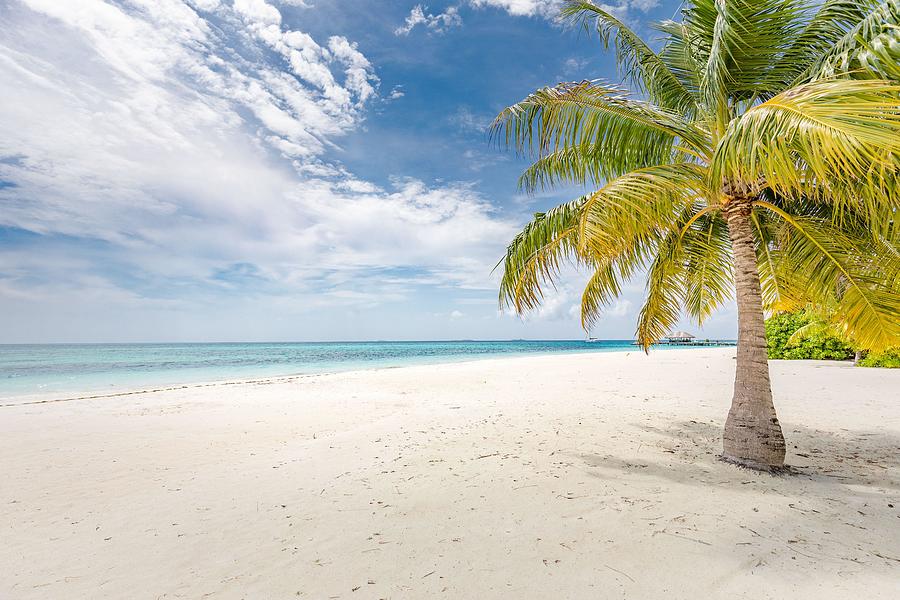 Beautiful Tropical Beach With White Photograph By Levente Bodo Fine