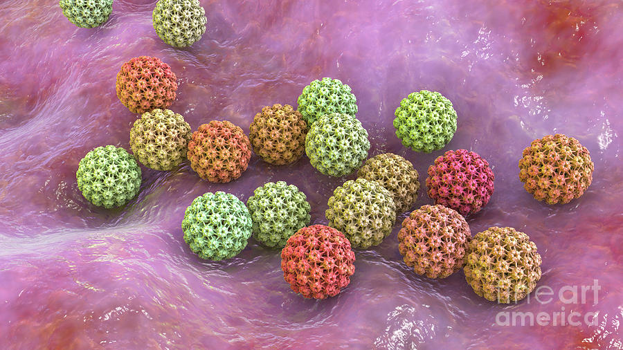 Human Papilloma Virus Photograph By Kateryna Kon Science Photo Library