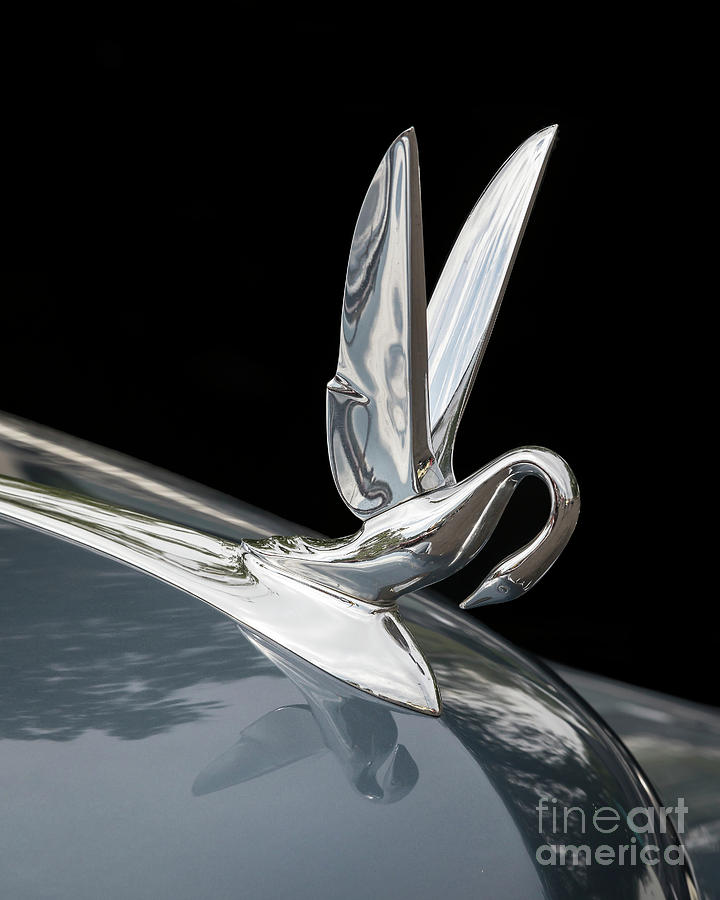 Packard Hood Ornament Photograph By Dennis Hedberg Fine Art America