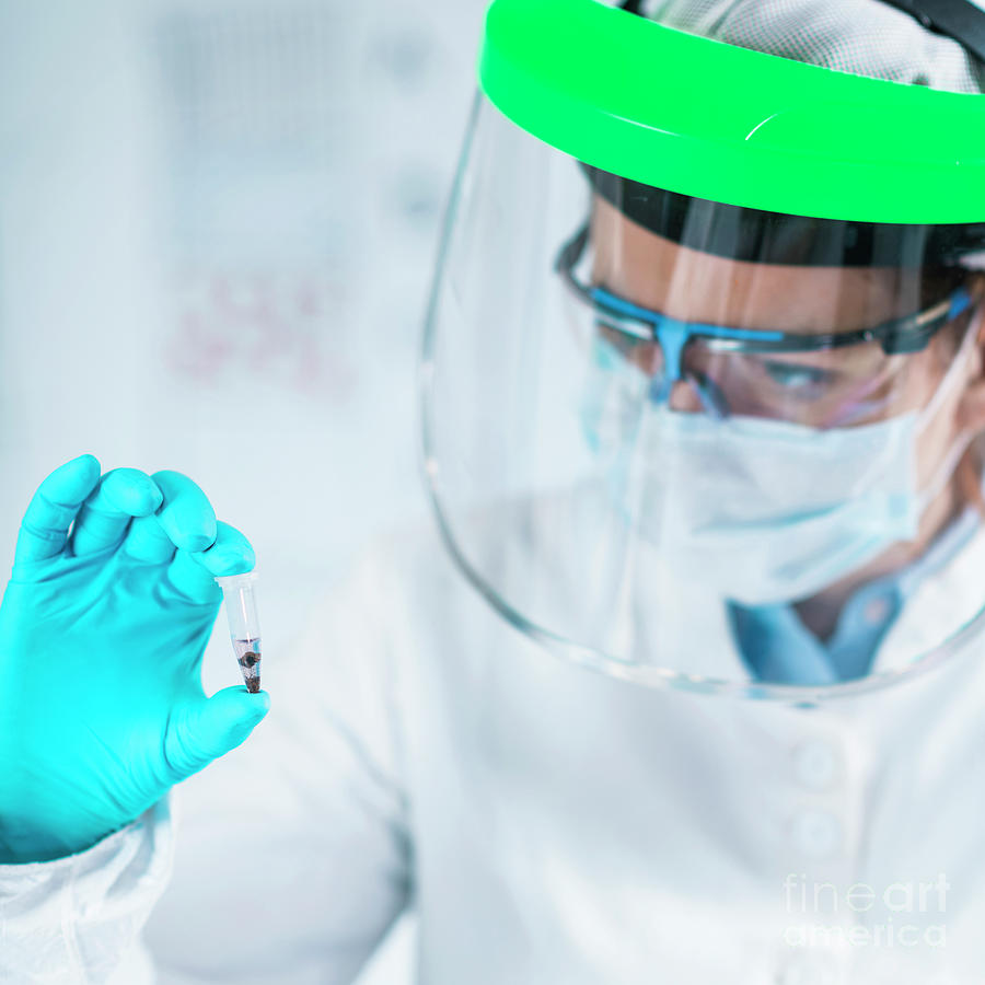 Ancient Dna Scientist Working In Bio Archaeology Lab Photograph By