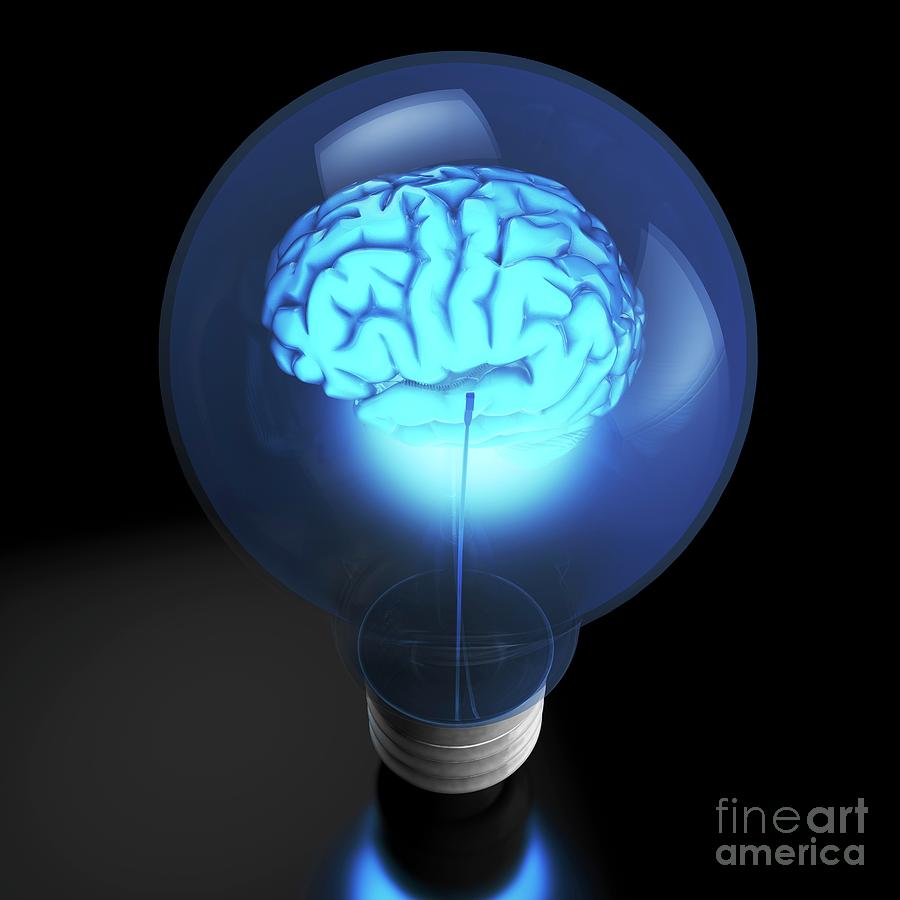 Brain Power And Light Bulb Photograph By Ella Maru Studio Science Photo