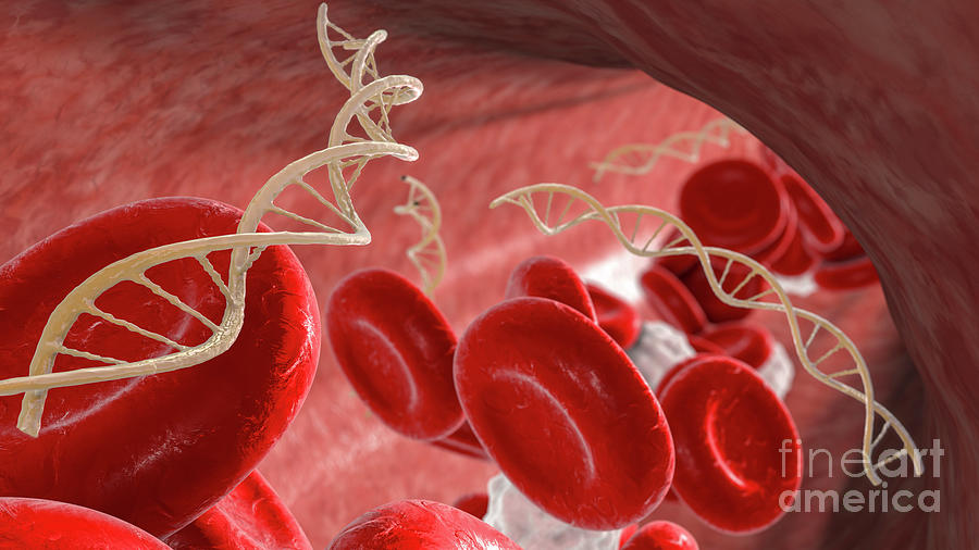 Cell Free Nucleic Acids In Human Blood Photograph By Kateryna Kon