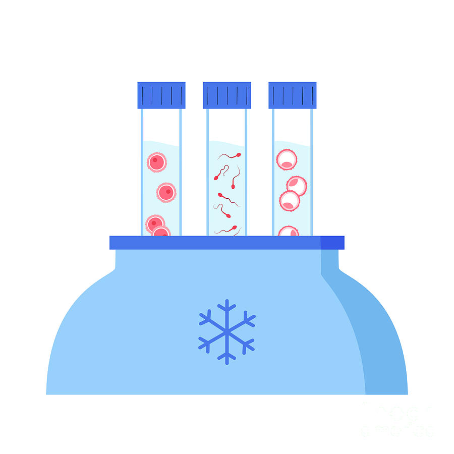 Ivf Specimen Cryopreservation Photograph By Pikovit Science Photo