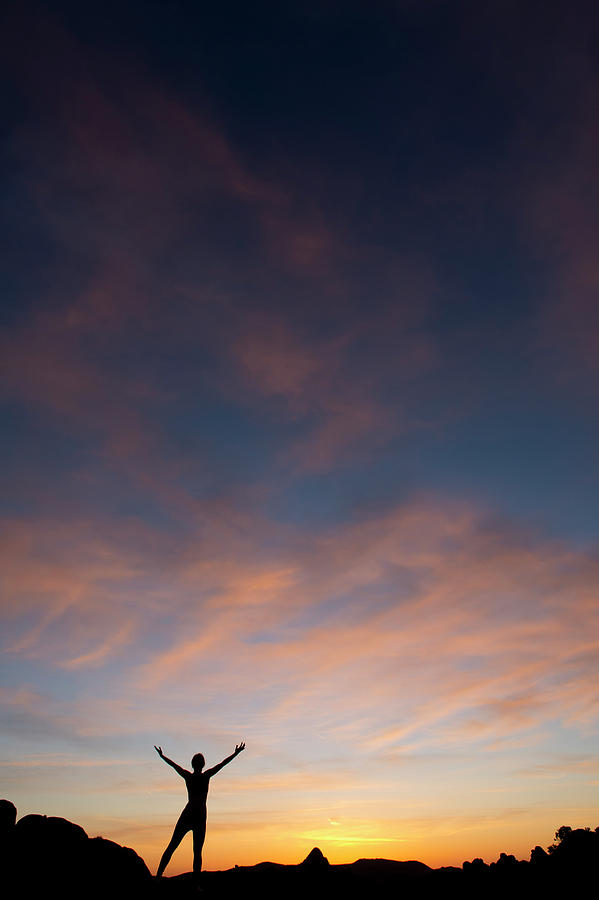 Nude Silhouette Joshua Tree Photograph By Panoramic Images Pixels