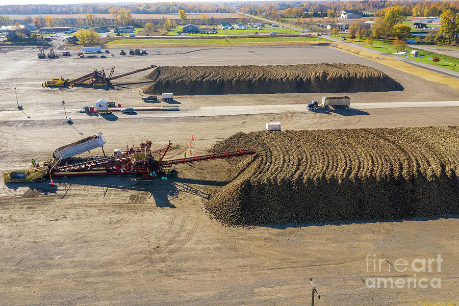 Sugar Beet Farming Photograph By Jim West Science Photo Library Fine