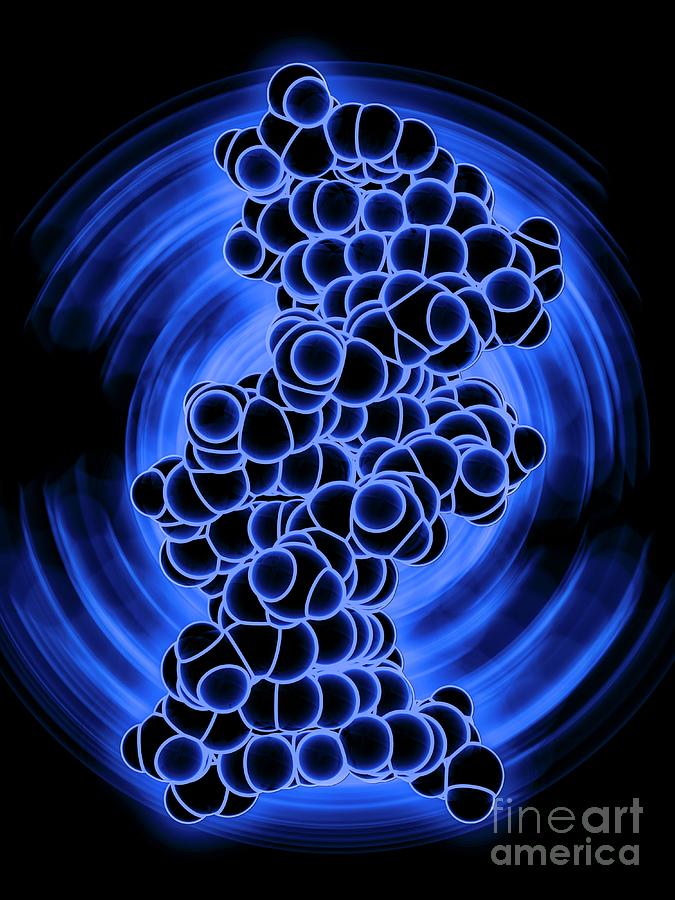 B Dna Molecule 22 By Laguna Design Science Photo Library