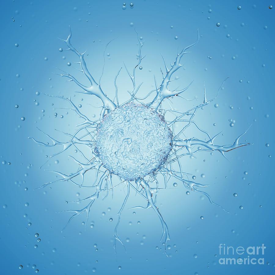 Illustration Of A Cancer Cell Photograph By Sebastian Kaulitzki Science