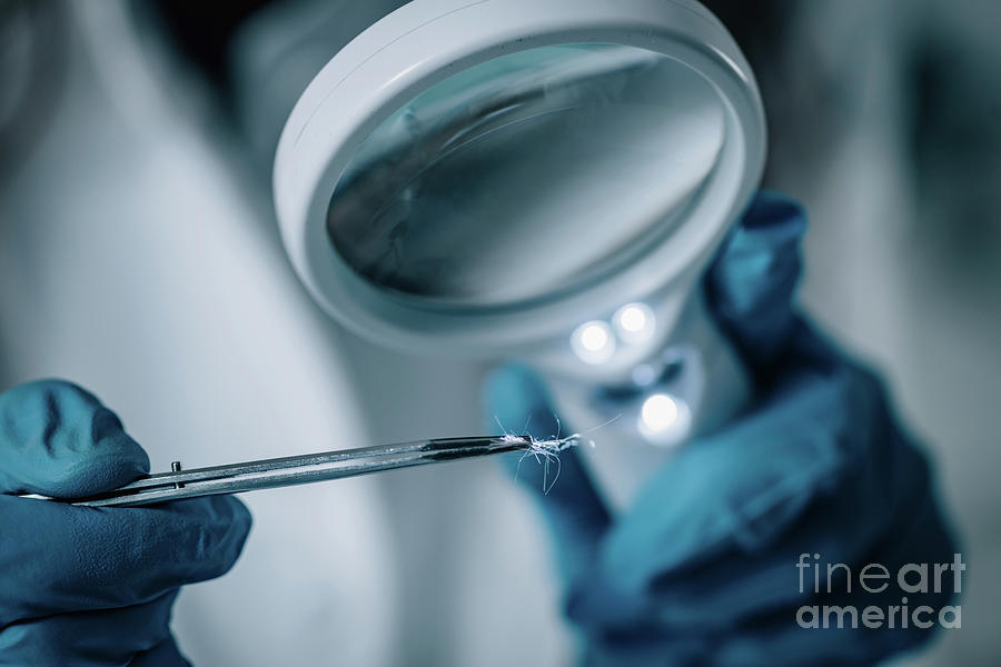 Forensics Expert Examining Crime Scene Evidence Photograph By Microgen