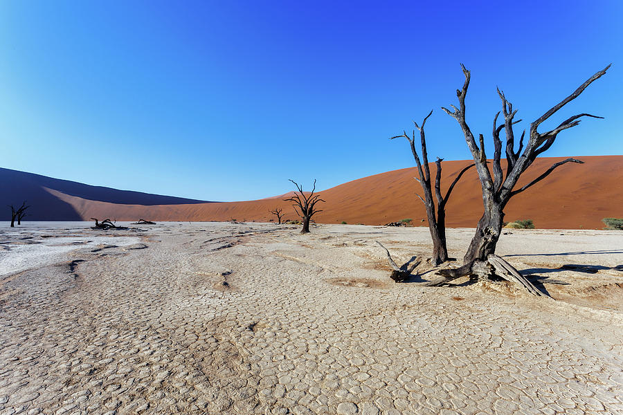 Beautiful Landscape Of Hidden Vlei In Namib Desert Photograph By Artush