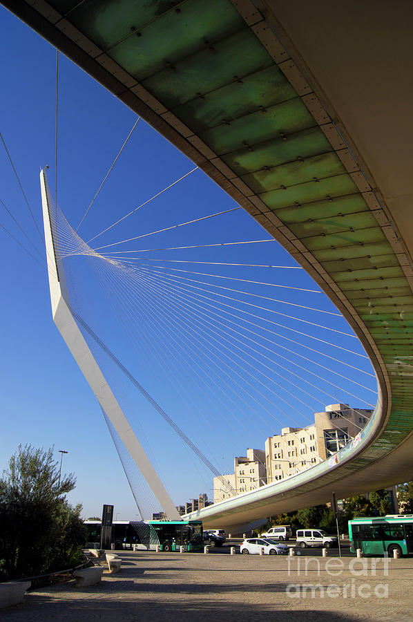 Chords Bridge Photograph By Mark Williamson Science Photo Library