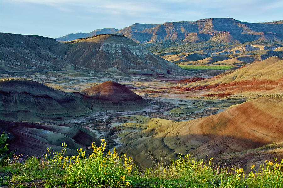 Painted Hills John Day Fossil Beds Photograph By Michel Hersen